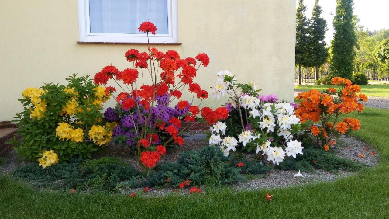 Pokoje Goscinne Przylesie Łobez Extérieur photo