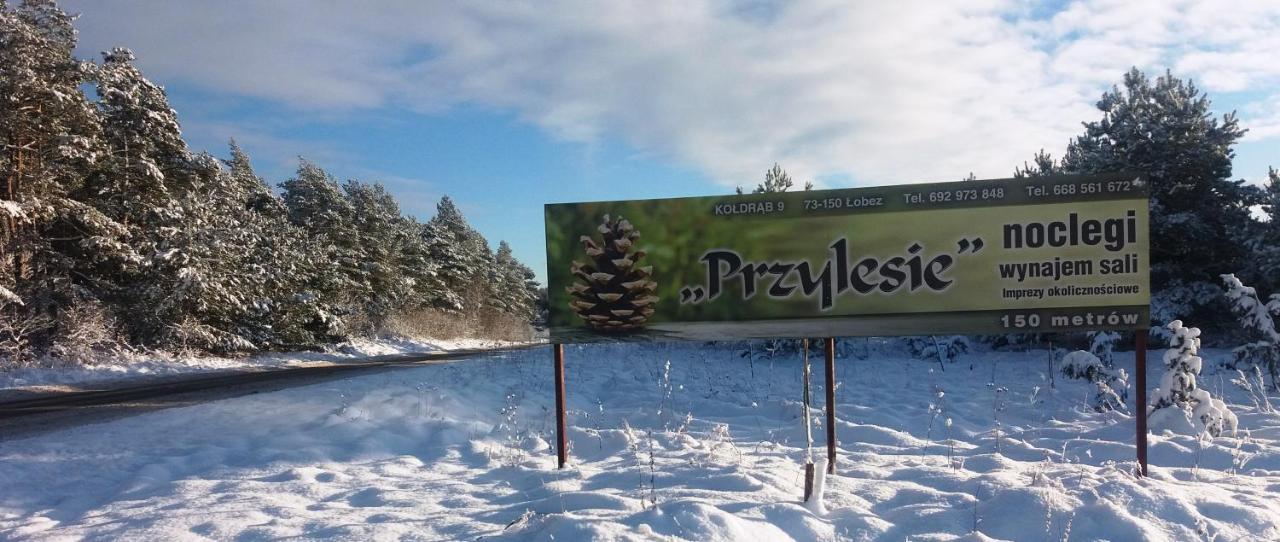 Pokoje Goscinne Przylesie Łobez Extérieur photo