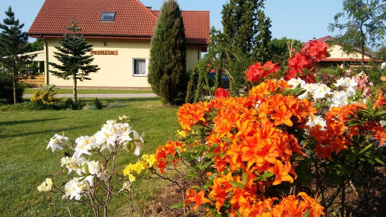 Pokoje Goscinne Przylesie Łobez Extérieur photo